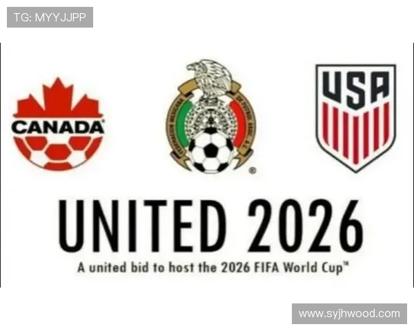 世界杯数据门户驱动的全球足球赛事统计分析与智能洞察平台新生态标题 - 副本