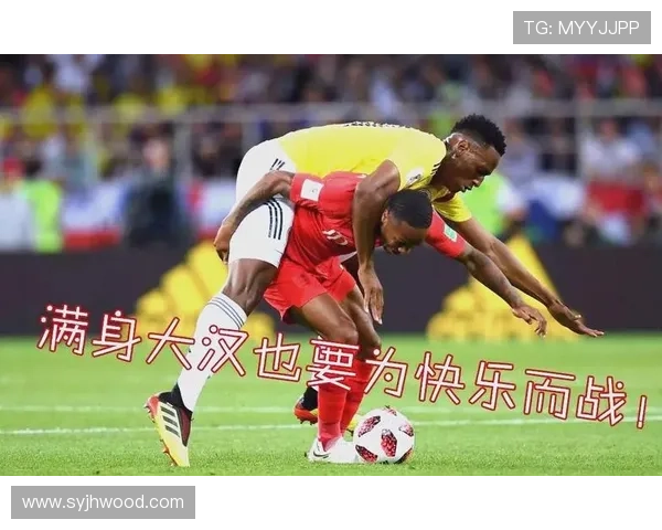 世界杯赛事平台入口：畅享全球足球盛宴与实时赛况更新 - 副本 (3)